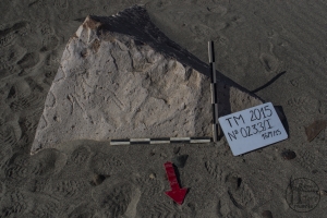 Piedra: 233, Cara decorada: I