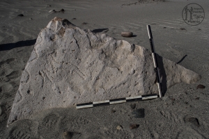 Piedra: 233, Cara decorada: I