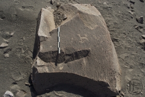 Piedra: 235, Cara decorada: I