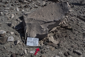 Piedra: 236, Cara decorada: I