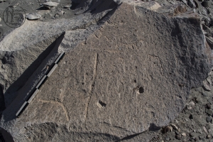 Piedra: 236, Cara decorada: I