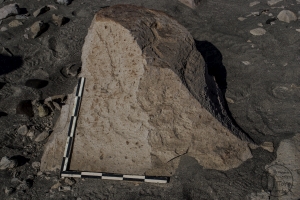 Piedra: 237, Cara decorada: II
