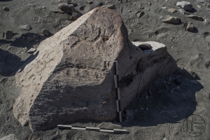 Piedra: 237, Cara decorada: I
