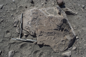 Piedra: 242, Cara decorada: I