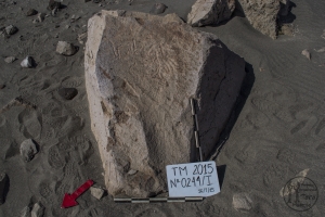 Piedra: 244, Cara decorada: I
