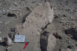 Piedra: 248, Cara decorada: I