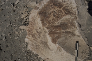 Piedra: 249, Cara decorada: I