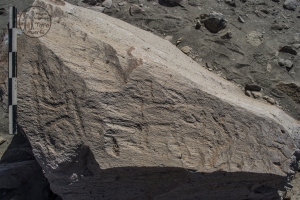 Piedra: 250, Cara decorada: I