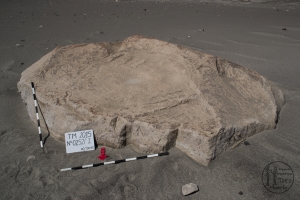 Piedra: 252, Cara decorada: I