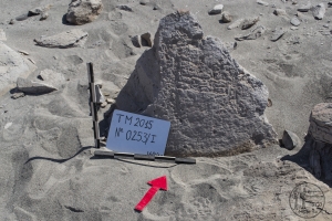 Piedra: 253, Cara decorada: I