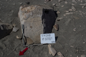 Piedra: 255, Cara decorada: I