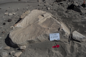 Piedra: 257, Cara decorada: II