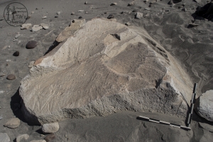 Piedra: 257, Cara decorada: II
