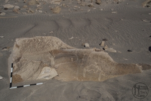 Piedra: 258, Cara decorada: I