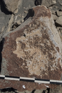 Piedra: 261, Cara decorada: I