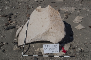 Piedra: 278, Cara decorada: I