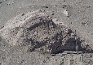 Piedra: 279, Cara decorada: I