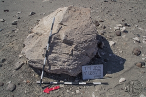 Piedra: 280, Cara decorada: II