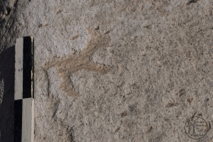 Piedra: 283, Cara decorada: I