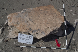 Piedra: 284, Cara decorada: I