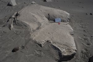 Piedra: 285, Cara decorada: I