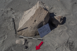 Piedra: 289, Cara decorada: I