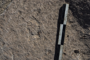 Piedra: 290, Cara decorada: I