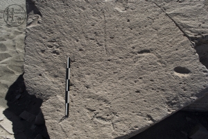 Piedra: 310, Cara decorada: III