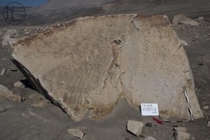 Piedra: 310, Cara decorada: II