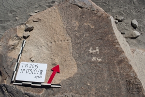 Piedra: 310, Cara decorada: IV