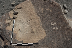 Piedra: 310, Cara decorada: IV