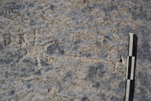 Piedra: 310, Cara decorada: I