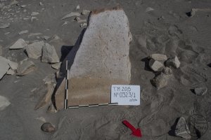 Piedra: 323, Cara decorada: I