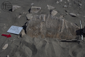 Piedra: 327, Cara decorada: I