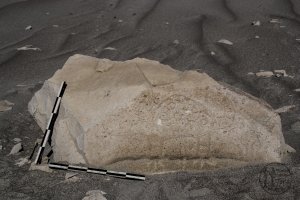 Piedra: 332, Cara decorada: I