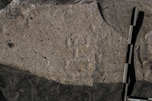 Piedra: 335, Cara decorada: II