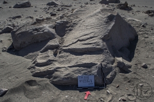 Piedra: 336, Cara decorada: II