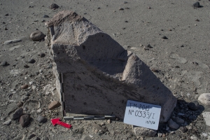 Piedra: 339, Cara decorada: I
