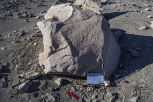 Piedra: 351, Cara decorada: I