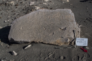 Piedra: 352, Cara decorada: I