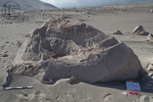 Piedra: 358, Cara decorada: I