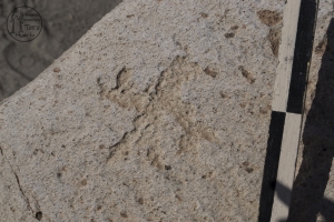 Piedra: 359, Cara decorada: I