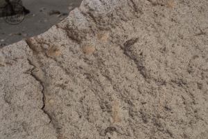Piedra: 361, Cara decorada: II