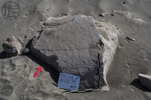 Piedra: 367, Cara decorada: I