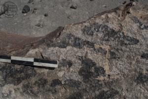 Piedra: 385, Cara decorada: II