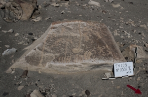 Piedra: 387, Cara decorada: I