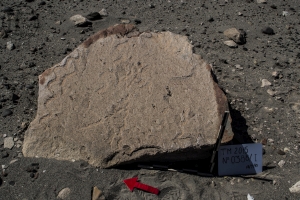 Piedra: 388, Cara decorada: I