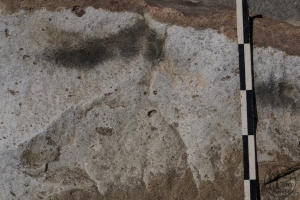 Piedra: 401, Cara decorada: II