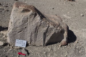 Piedra: 415, Cara decorada: III