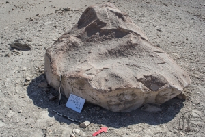 Piedra: 415, Cara decorada: I